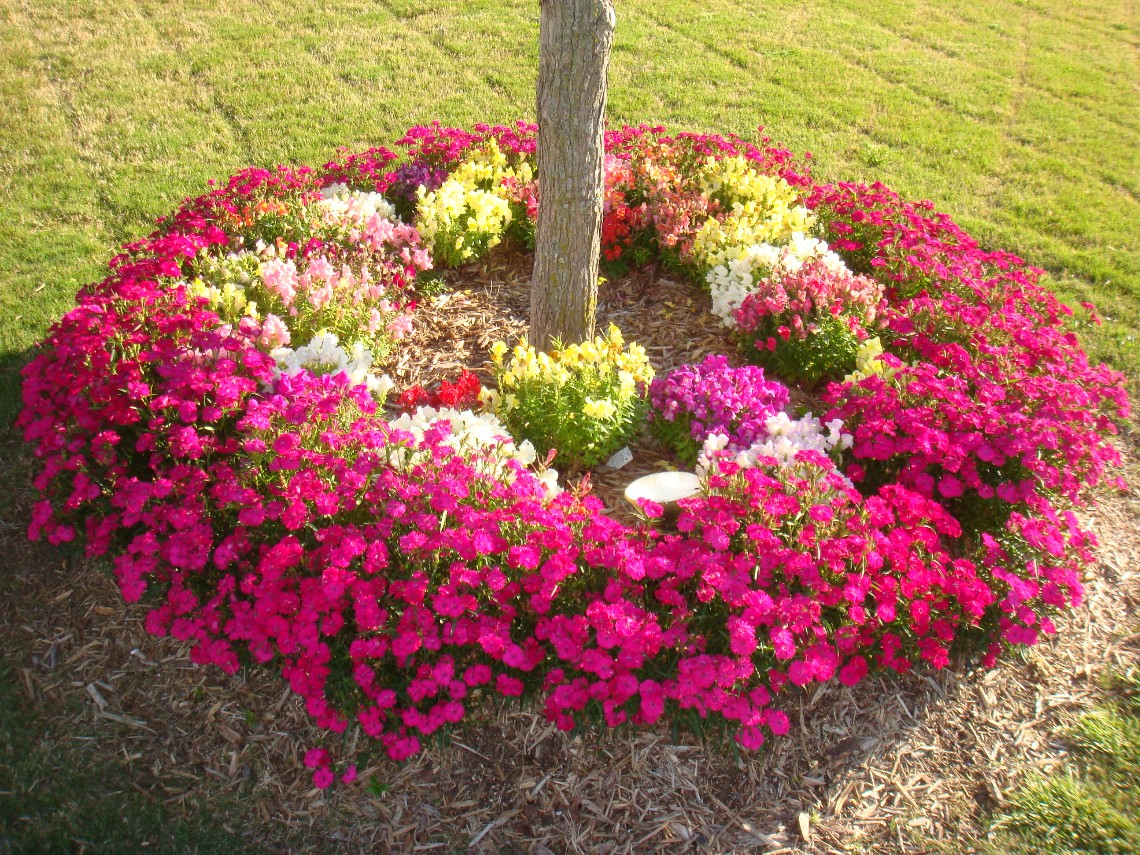 Front Yard Flower Bed